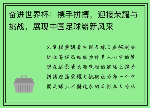 奋进世界杯：携手拼搏，迎接荣耀与挑战，展现中国足球崭新风采